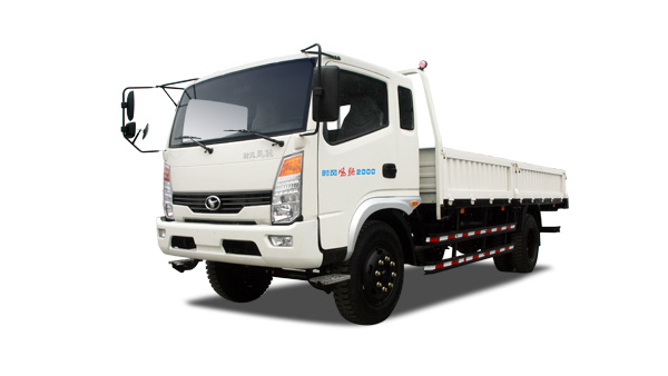 俄罗斯专享会294风驰2000系列国Ⅳ汽车